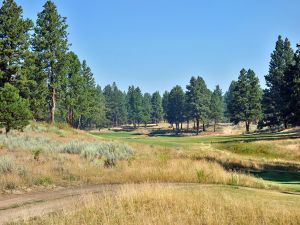 Silvies (Craddock) 11th Tee